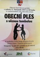 Obecní ples